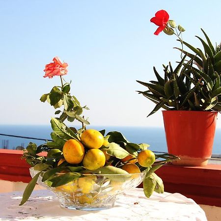 Alvanita Apartments Ulcinj Eksteriør billede