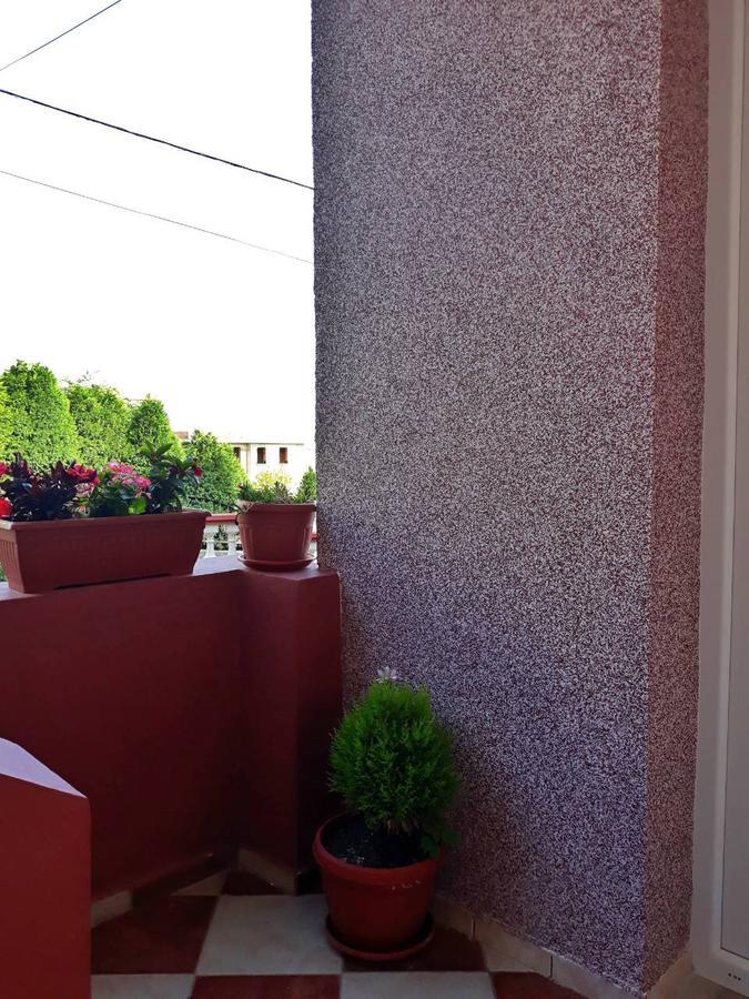 Alvanita Apartments Ulcinj Eksteriør billede
