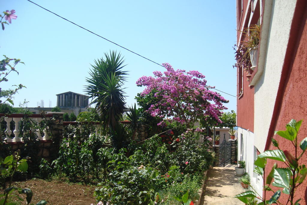 Alvanita Apartments Ulcinj Eksteriør billede